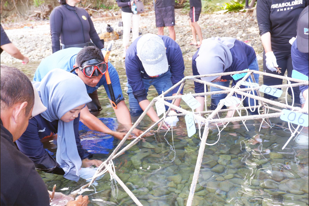 Melalui program Tanggung Jawab Sosial dan Lingkungan (TJSL), PNM bekerja sama dengan komunitas pecinta lingkungan laut, Sea Soldier, menanam 600 bibit terumbu karang di Pantai Wisata Morella, Maluku. - Image