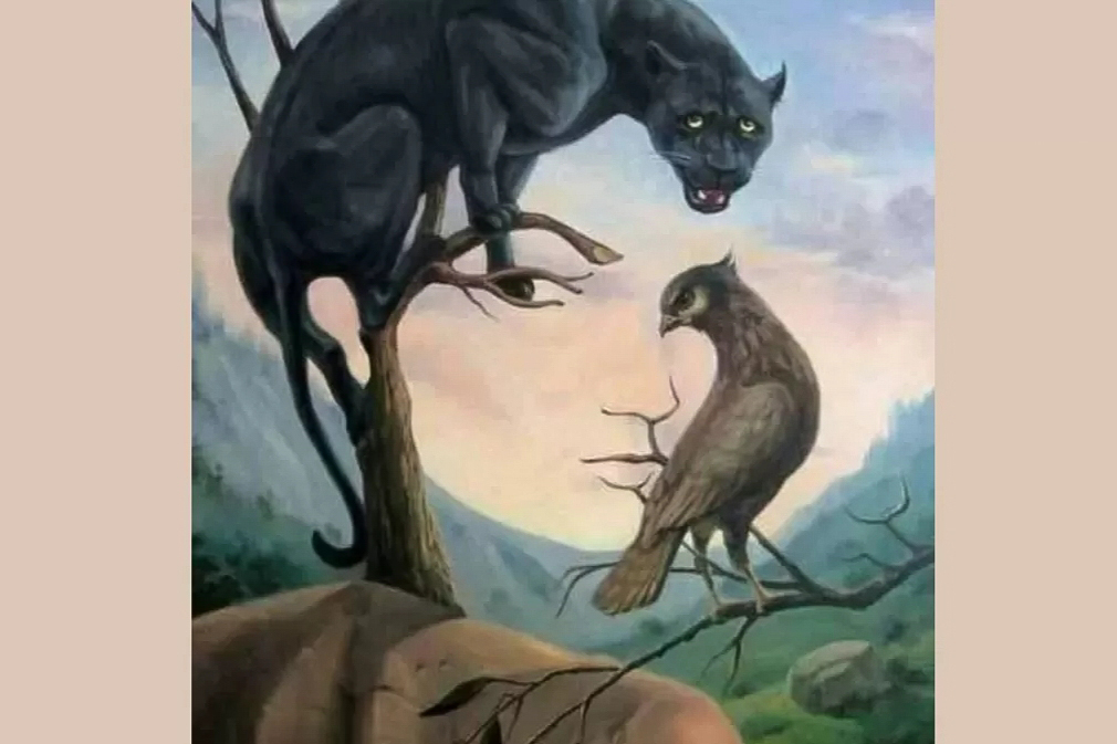 Ilustrasi gambar (Jagran Josh) - Image