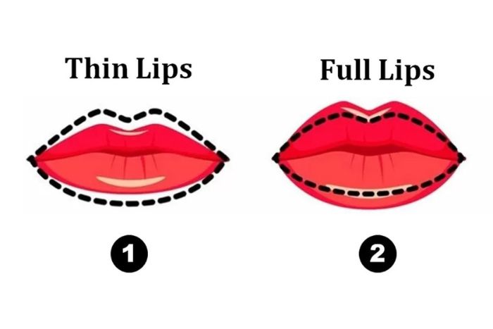 Ilustrasi bentuk bibir. - Image