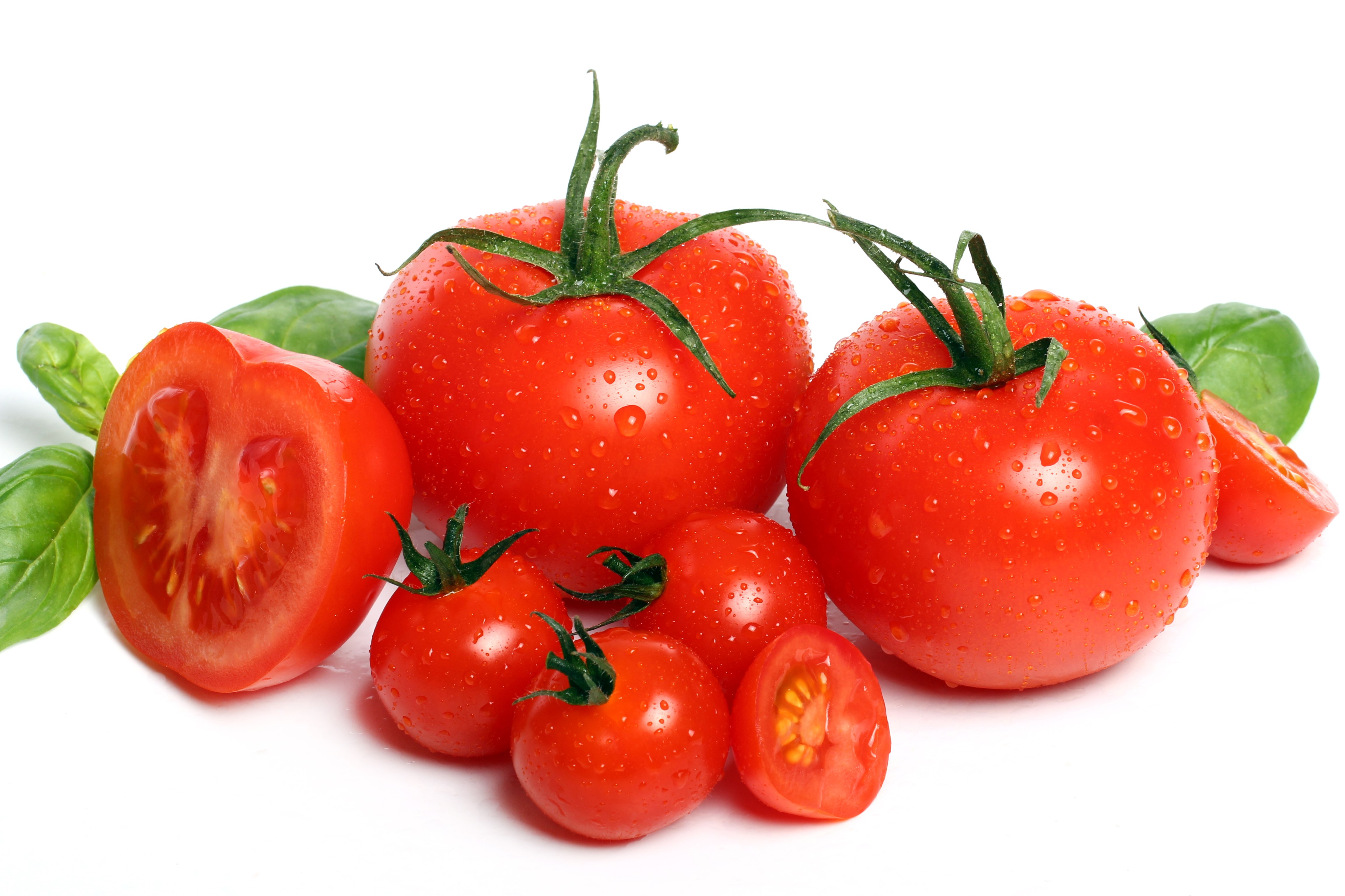 Ilustrasi buah tomat (Racool_studio/freepik.com) - Image