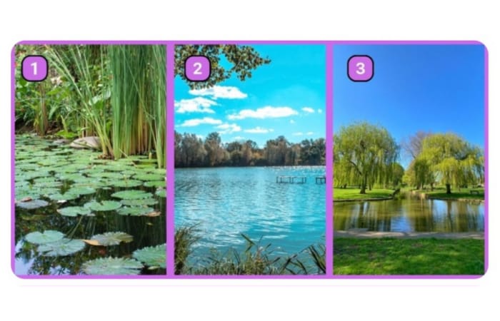 Tes kepribadian berdasarkan pilihan gambar kolam (Abmeyerwood) - Image