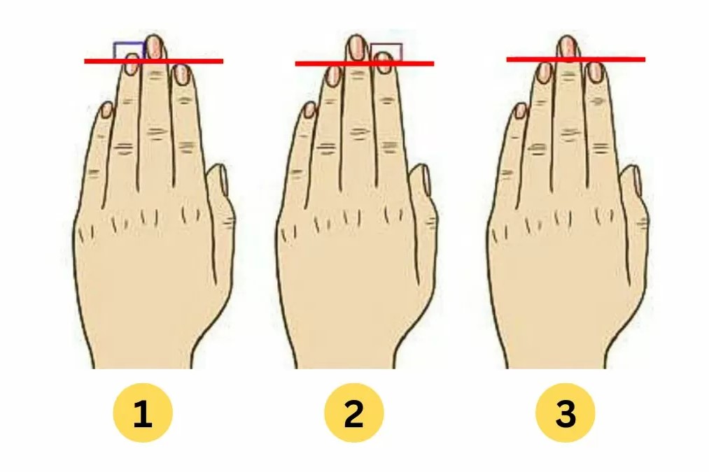 Tes kepribadian panjang jari tunjukkan karakter. (jagranjosh) - Image