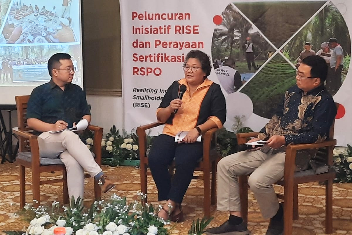 Diskusi dan Peluncuran Inisiatif RISE dan Perayaan Sertifikasi RSPO di Jakarta, Rabu (4/12/2024). (Istimewa) - Image