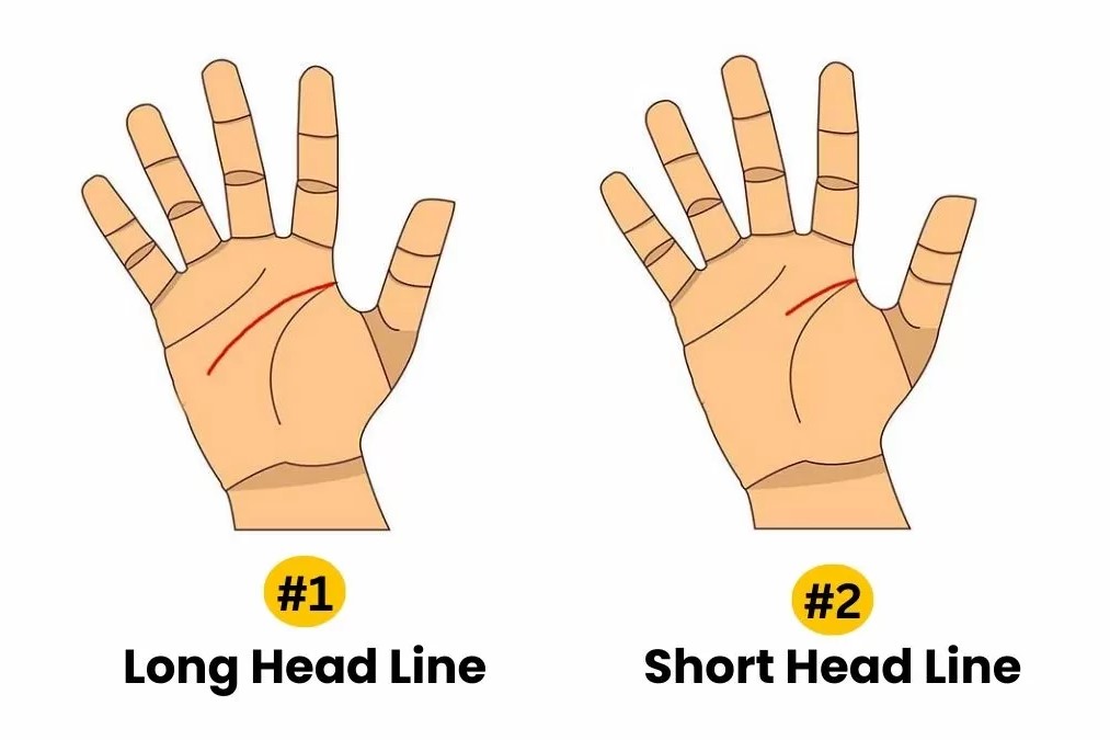 Tes kepribadian garis telapak tangan tunjukkan karakter. - Image