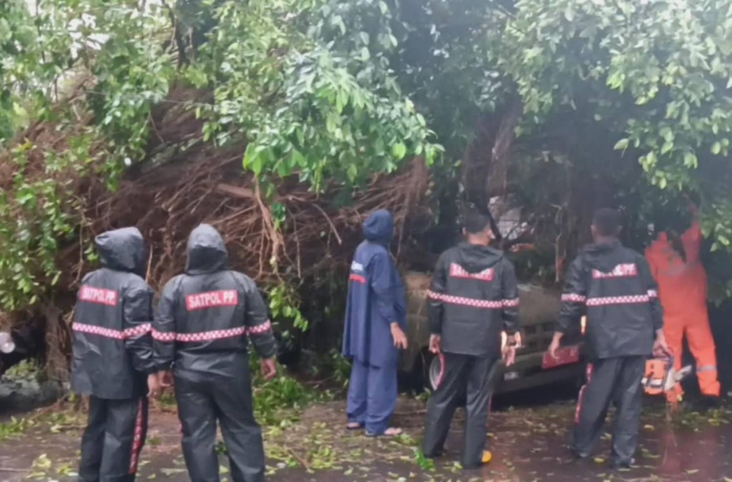 Pohon tumbang timpa mobil Satpol PP dan sepeda motor di Jalan Bintoro Surabaya. (Istimewa) - Image