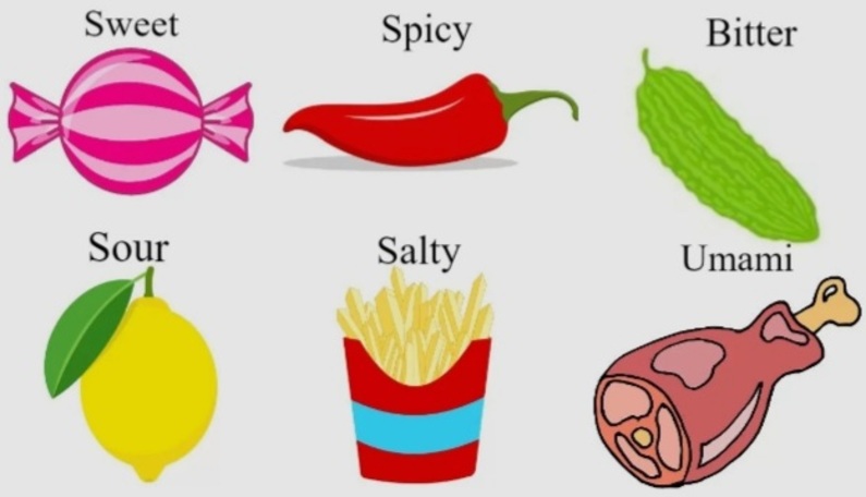 Apa Rasa Favoritmu? Ternyata Preferensi Selera Makanan Ini Bisa ...