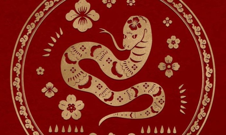 Ilustrasi shio ular 2025. (Freepik) - Image