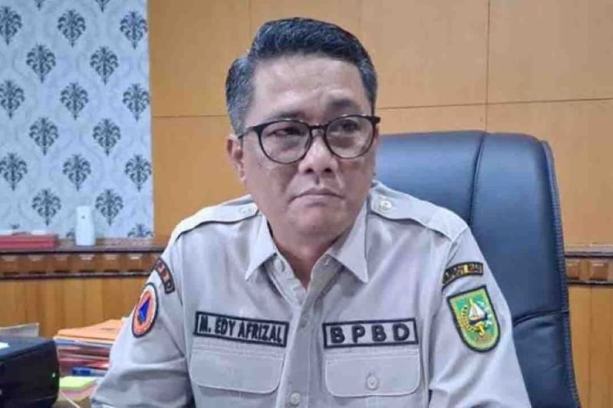 Kepala Badan Penanggulangan Bencana Daerah dan Pemadam Kebakaran Provinsi Riau Edy Afrizal. (Antara) - Image