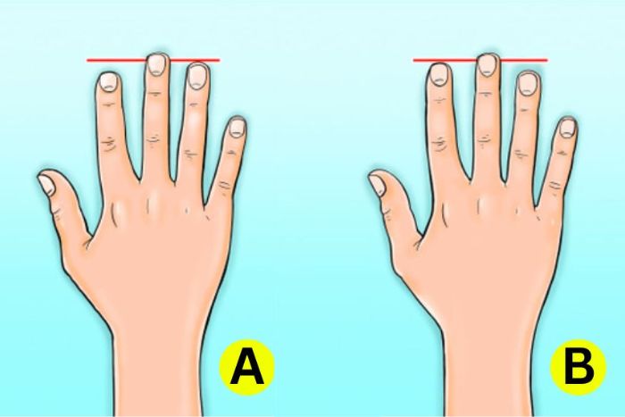 Ilustrasi Tes Kepribadian jari manis yang sedang tren ini dapat mengetahui apa yang diungkapkan panjang jari telunjuk dan jari manis tentang kepribadian seseorang. - Image