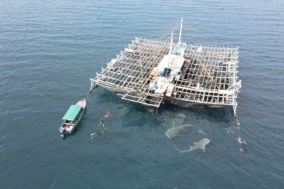 PT Pertamina International Shipping (PIS) meraih skor ESG (Environmental, Social, Governance) BBB dari MSCI (Morgan Stanley Capital International). (dok. PIS) - Image