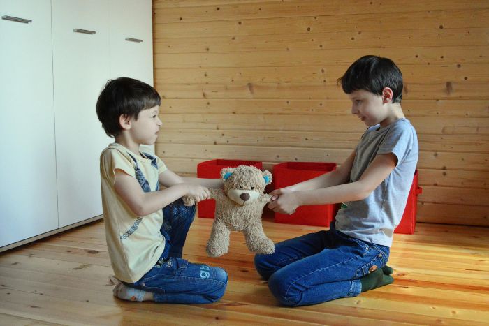 Ilustrasi tujuh pengalaman masa kecil yang kerap ditemukan dalam riwayat orang yang memiliki hubungan tegang dengan saudara kandungnya. - Image