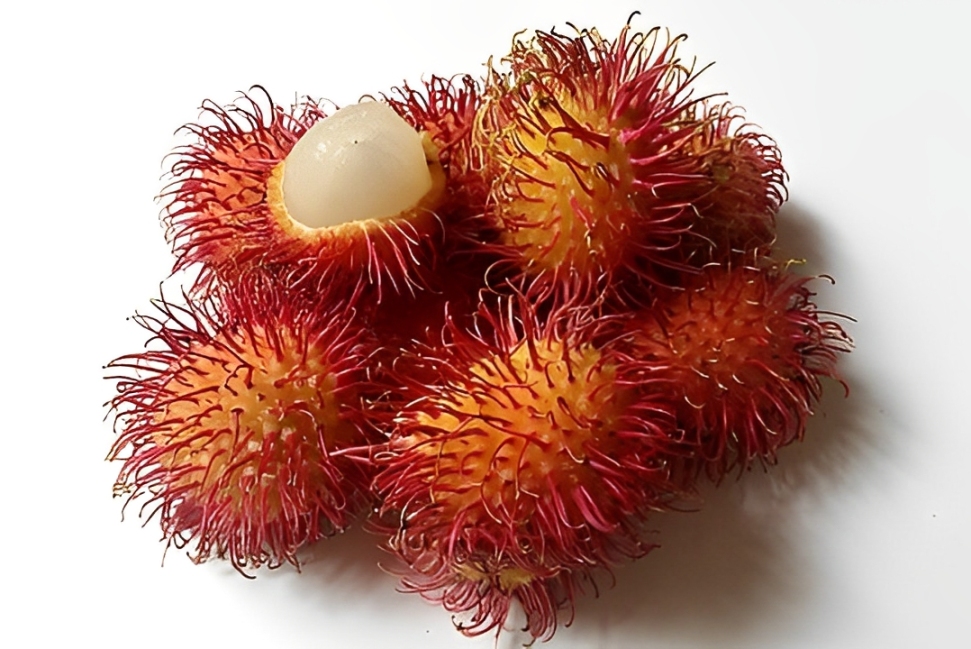 Ilustrasi buah rambutan (Weewee59/pixabay.com) - Image