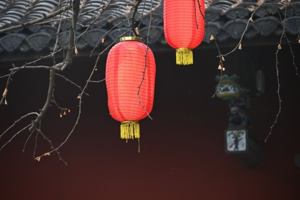 Ilustrasi shio yang beruntung pada 2025. (Pixabay) - Image
