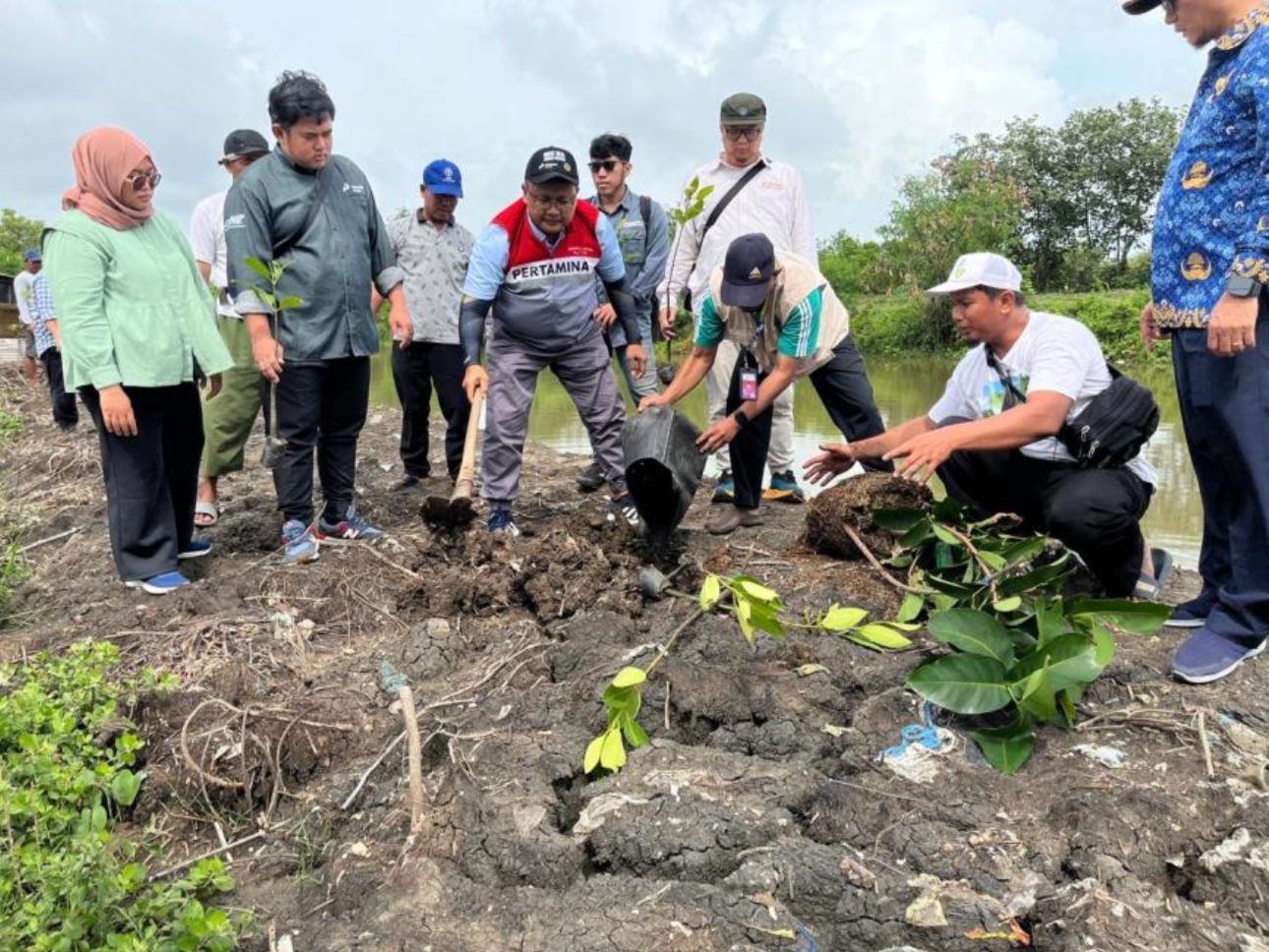 PHE ONWJ dan masyarakat Desa Cemara Kulon menanam bibit pohon produktif di kawasan Taman Cemara Kulon, Indramayu, sebagai langkah pelestarian lingkungan. (PHE ONWJ) dan pemberdayaan ekonomi lokal. - Image