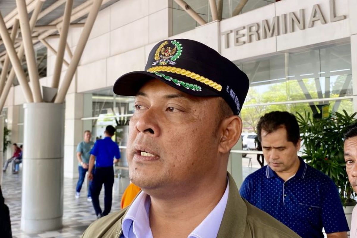 Ketua DPRD Kepri Iman Sutiawan. (Amandine Nadja/Antara) - Image