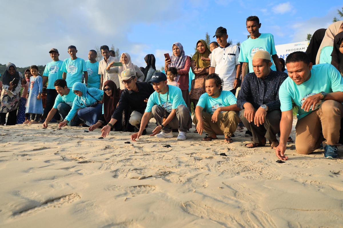 PT Pelayaran Nasional Indonesia (Pelni) bersama masyarakat melepaskan sebanyak 100 tukik di kawasan Pantai Lambaro, Kecamatan Pulo Aceh, Kabupaten Aceh Besar, Jumat (7/2/2025) (ANTARA/HO-PT Pelni) - Image