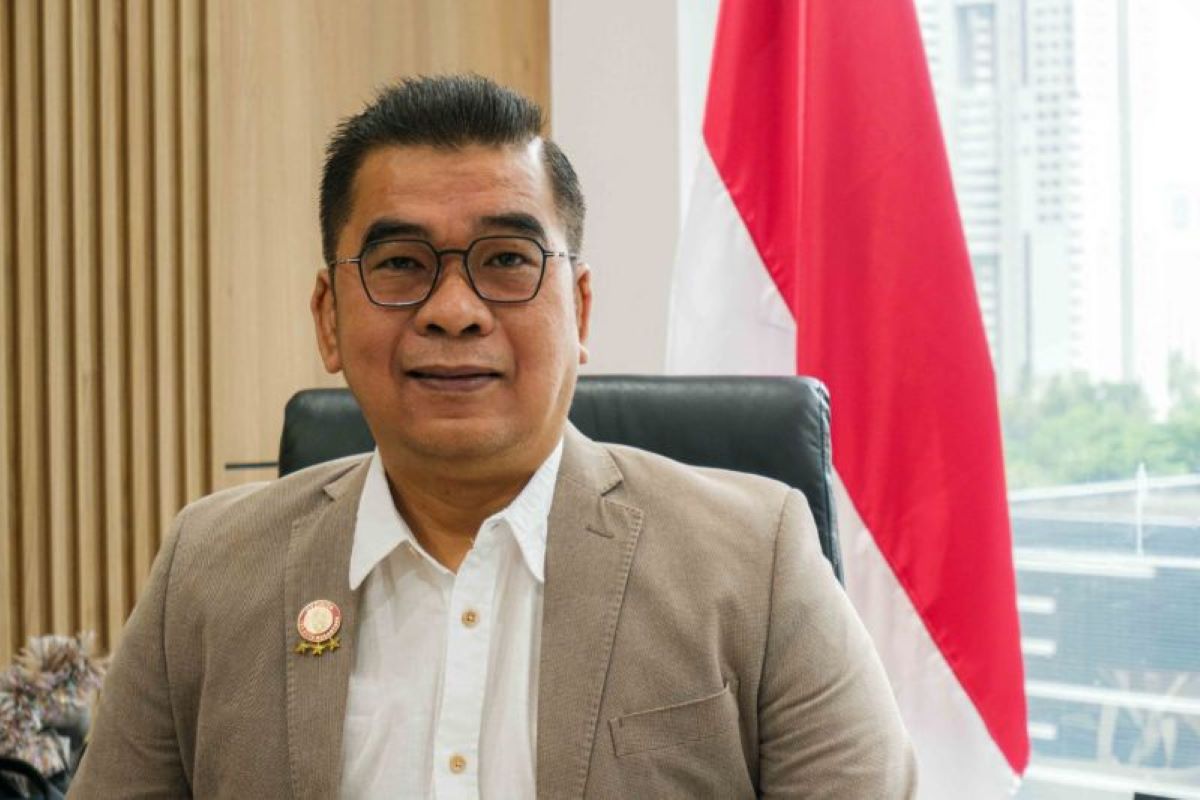 Guru Besar Fakultas Teknik Universitas Indonesia (FT UI) Mohammed Ali Berawi. (Universitas Indonesia/Antara) - Image