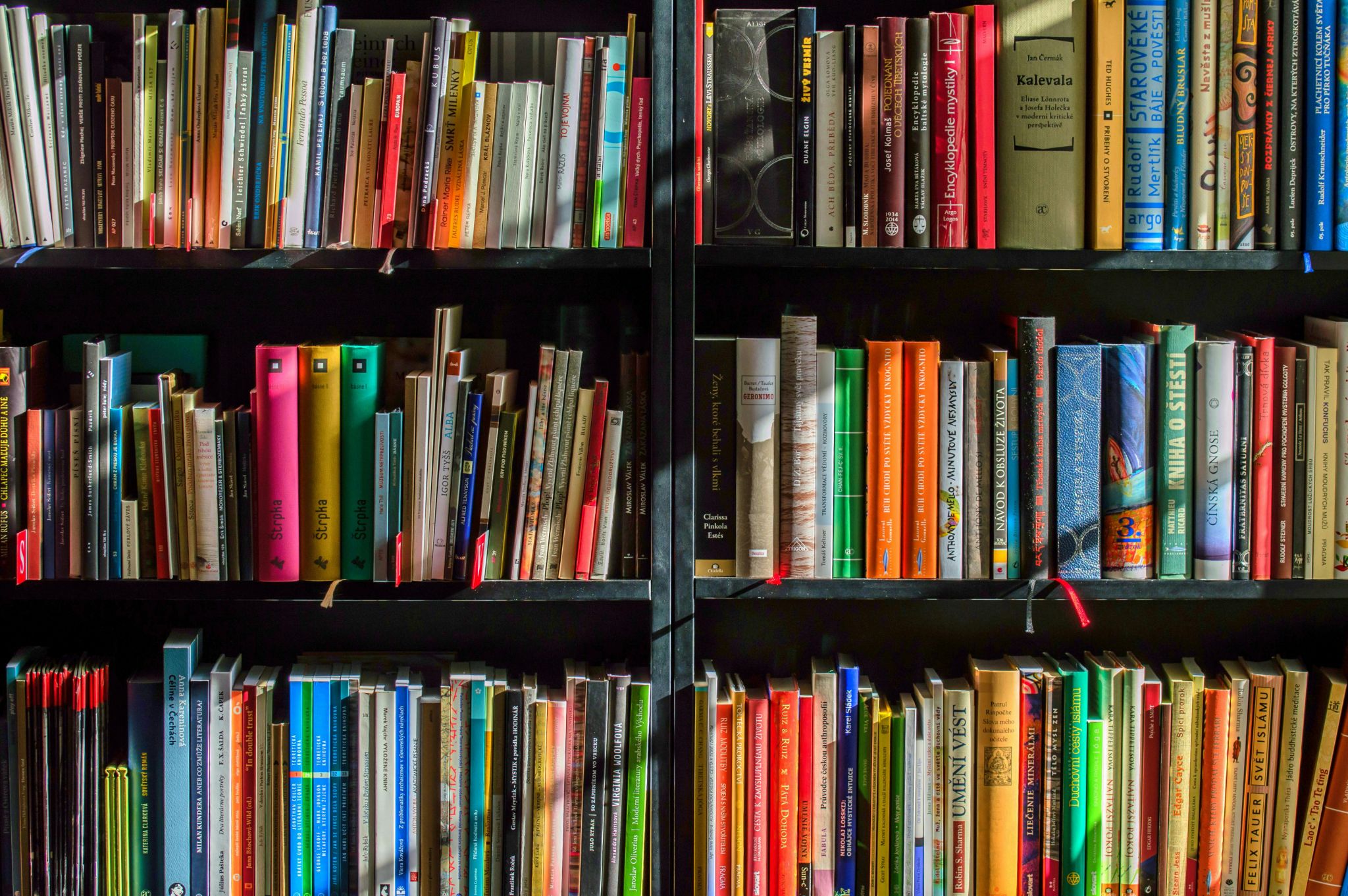 Ilustrasi buku. (Pexels) - Image