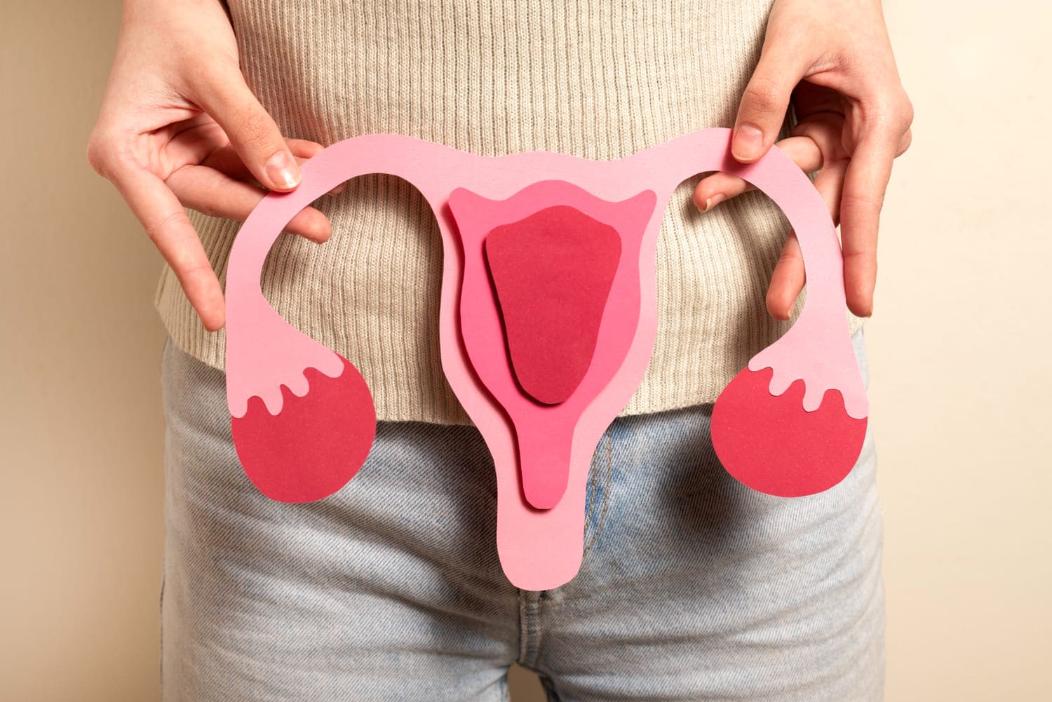ilustrasi sistem reproduksi perempuan. (Freepik) - Image