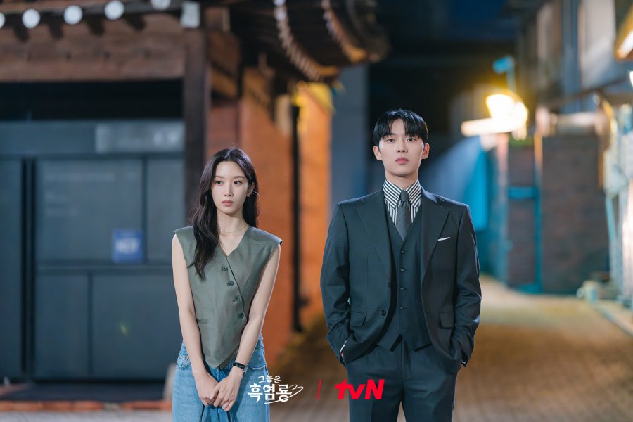 Drama Korea My Dearest Nemesis/mydramalist.com - Image