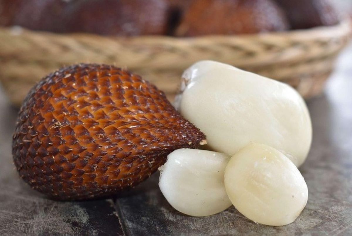 Ilustrasi buah salak. (pixabay.com) - Image