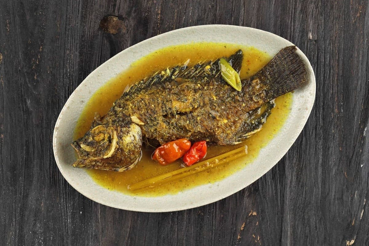 ilustrasi pesmol ikan nila. (Vecteezy) - Image