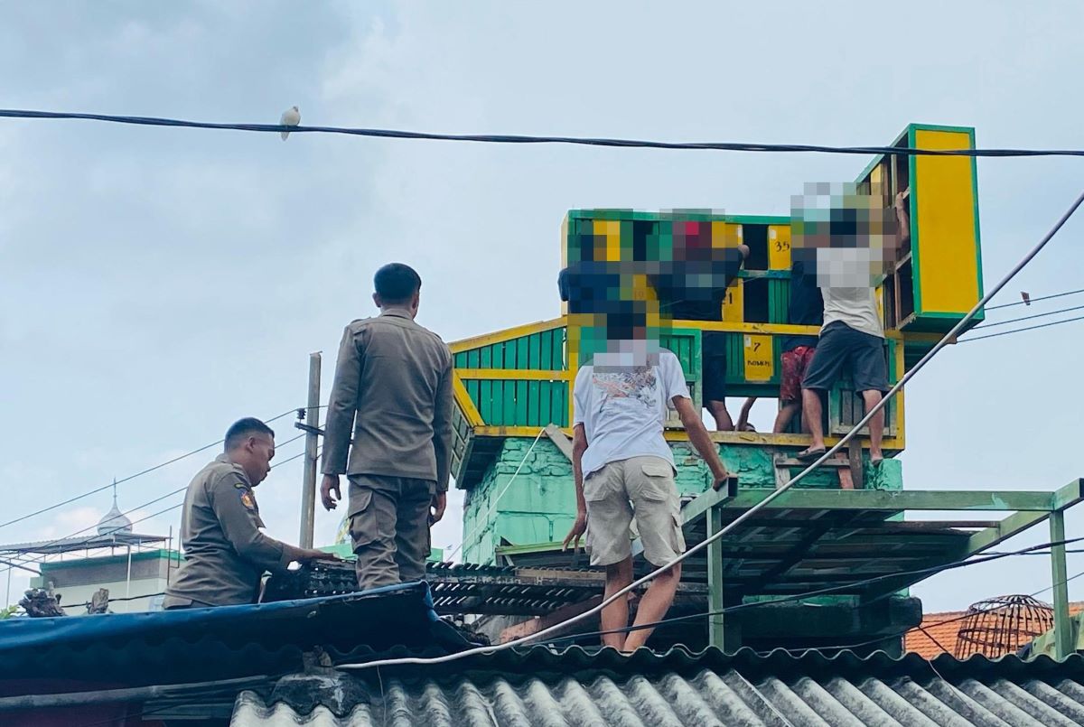 Petugas Satpol PP dan Warga saat membongkar rumah merpati di kawasan Gubeng Masjid Surabaya, Kamis (6/3). (Humas Pemkot Surabaya) - Image