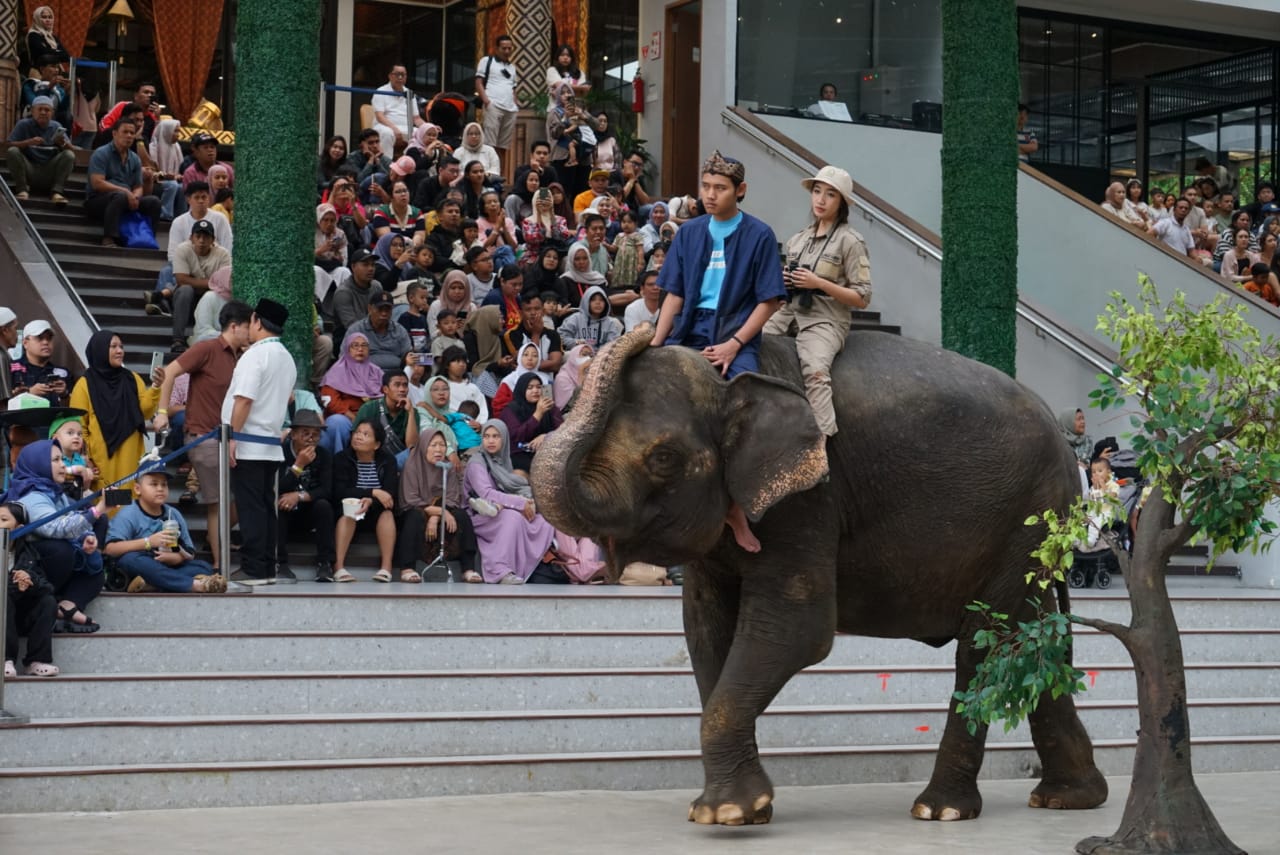 ILUSTRASI Sejumlah wisatawan menyaksikan atraksi edukasi satwa gajah Sumatera di Taman Safari Indonesia, Cisarua, Kabupaten Bogor, Jawa Barat, Selasa (1/4). (Sofyansyah/Radar Bogor)