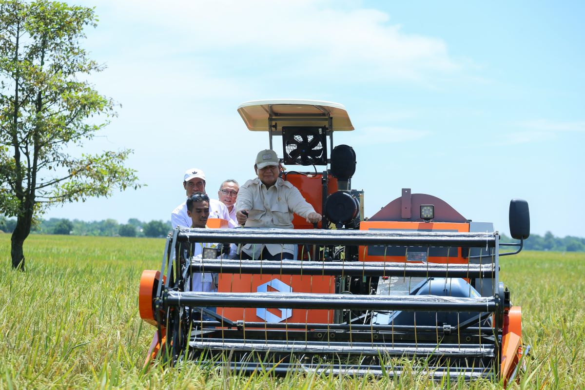 Presiden Prabowo pimpin Panen Raya Nasional di Majalengka. (Istimewa) - Image