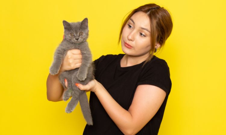 Ilustrasi alasan menarik kucing menatap pemiliknya (KamranAydinov/freepik.com) - Image