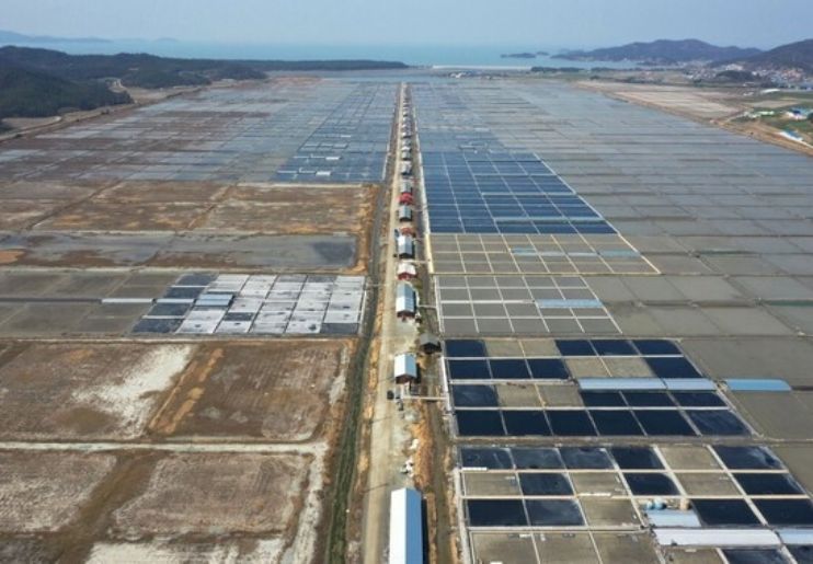 Kawasan Sentra Industri Garam di Rote Ditargetkan Rampung Juni 2026, Bakal Serap 26 Ribu Tenaga Kerja - Image