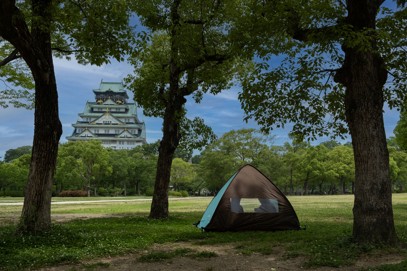 BERKEMAH DI TEMPAT RINDANG. Karya: Reza Suryapermana, Surabaya. Lokasi Foto: Tokyo, Jepang