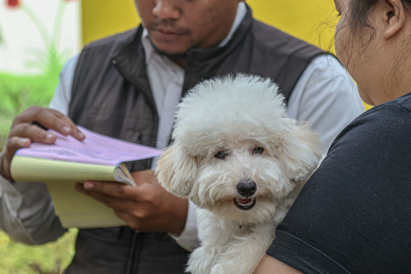 Sejumlah warga yang membawa kucing dan anjing mengantri mendapatkan vaksin rabies di RPTRA Petukanga