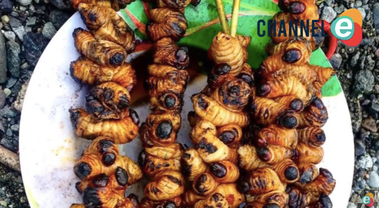 Sate ulat sagu khas Papua. (Tangkap layar Youtube @E Indonesia ) - Image