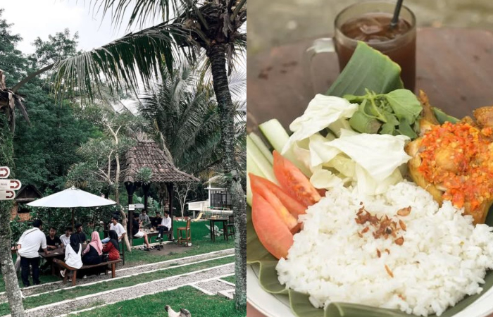 3 Café dengan Nuansa Alam di Malang yang Enak - Image
