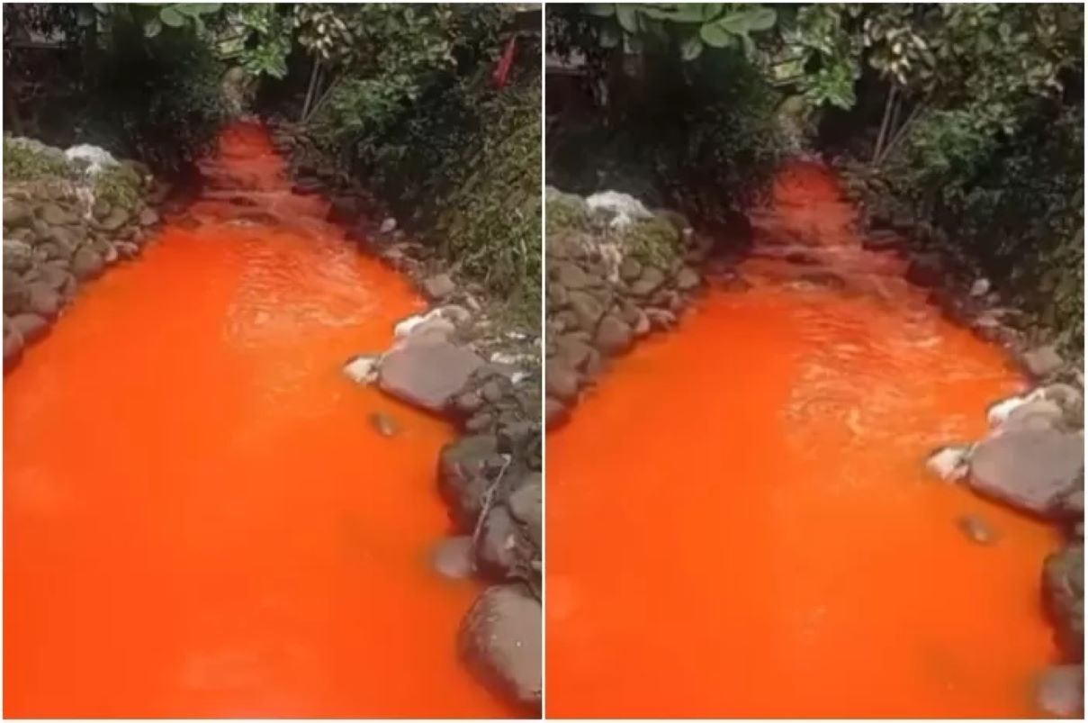 Kondisi sungai di Desa Tarikolot, Kecamatan Citeureup, Kabupaten Bogor viral di media sosial. (TikTok @arya39903). - Image