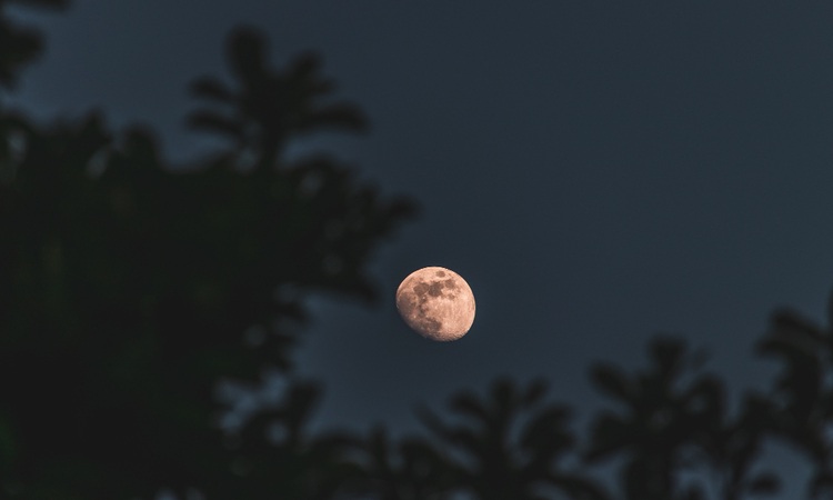 Ilustrasi bulan Suro (freepik/wirestock) - Image