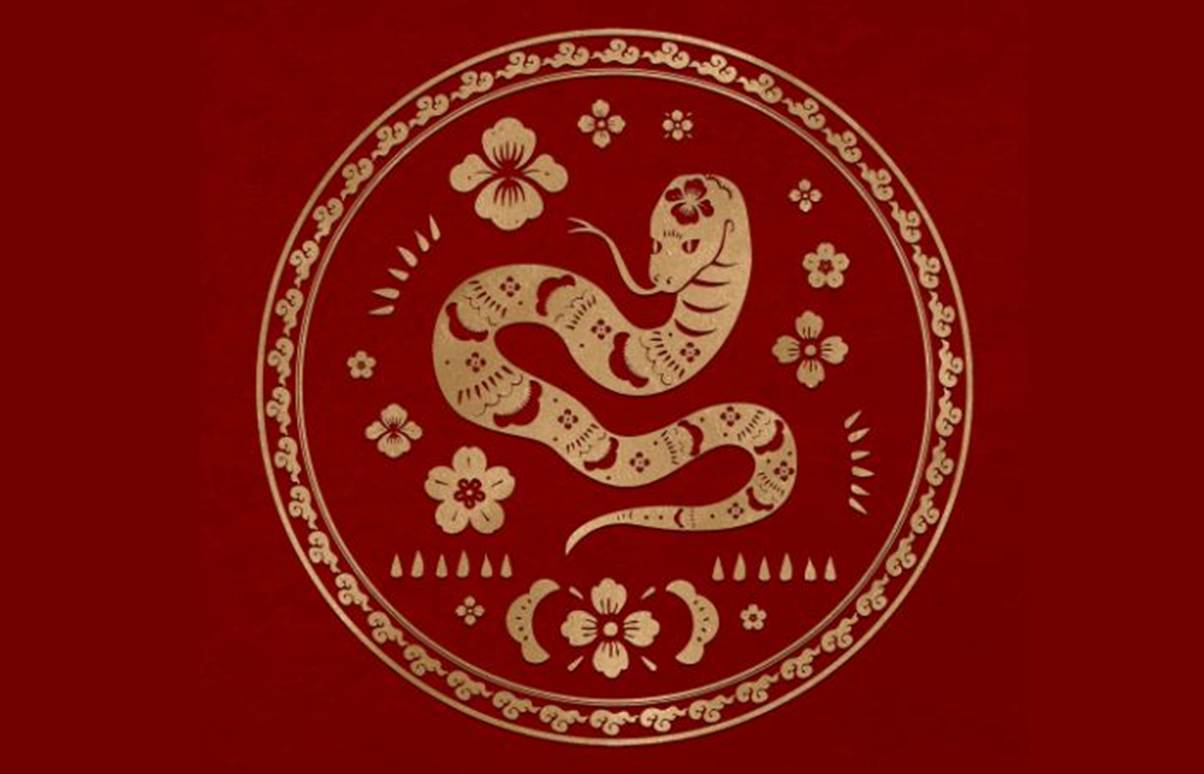 Ilustrasi shio ular (Freepik) - Image