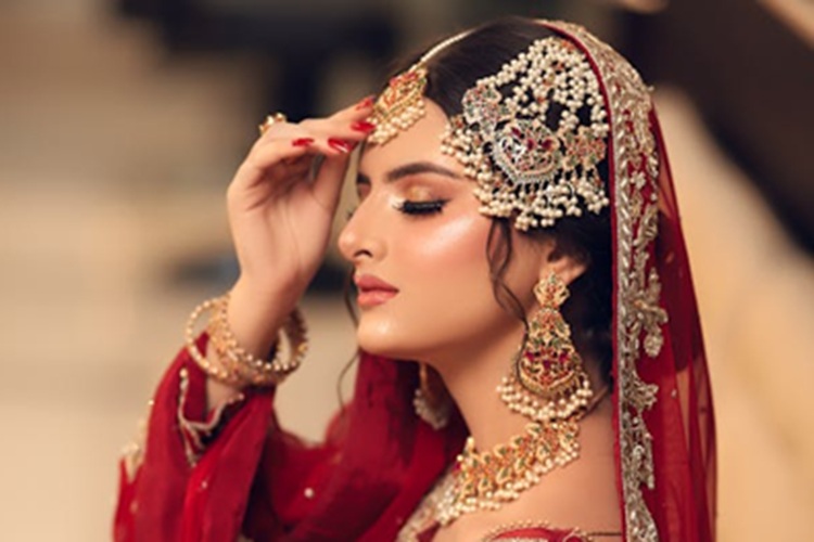 6 Shio menyerap energi positif - Image