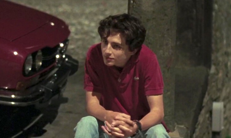 Timothee Chalamet. (IMDb) - Image