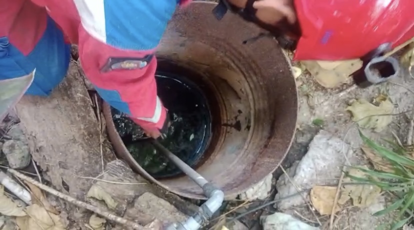 Ular masuk ke sumur milik warga RT 04 RW 04 Kelurahan Pulau Pari, Kepulauan Seribu Selatan. (Istimewa) - Image