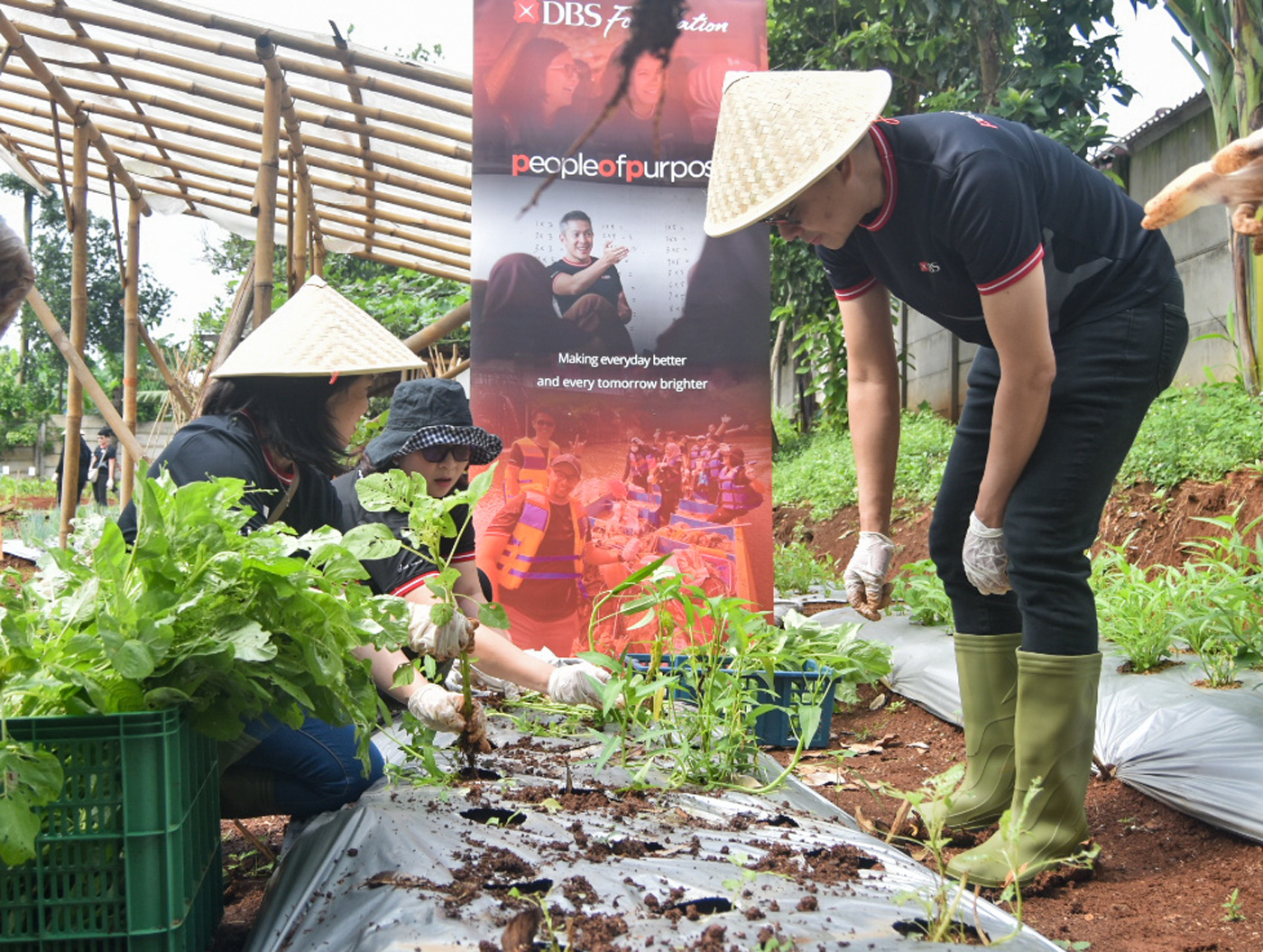 Kegiatan bercocok tanam di ladang. (Dery Ridwansah/ JawaPos.com)