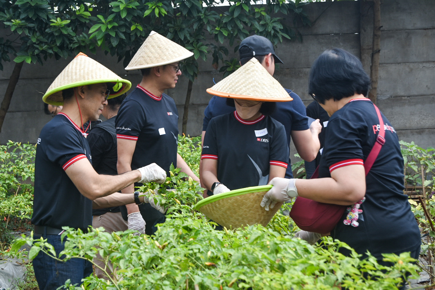 Kegiatan bercocok tanam di ladang. (Dery Ridwansah/ JawaPos.com)
