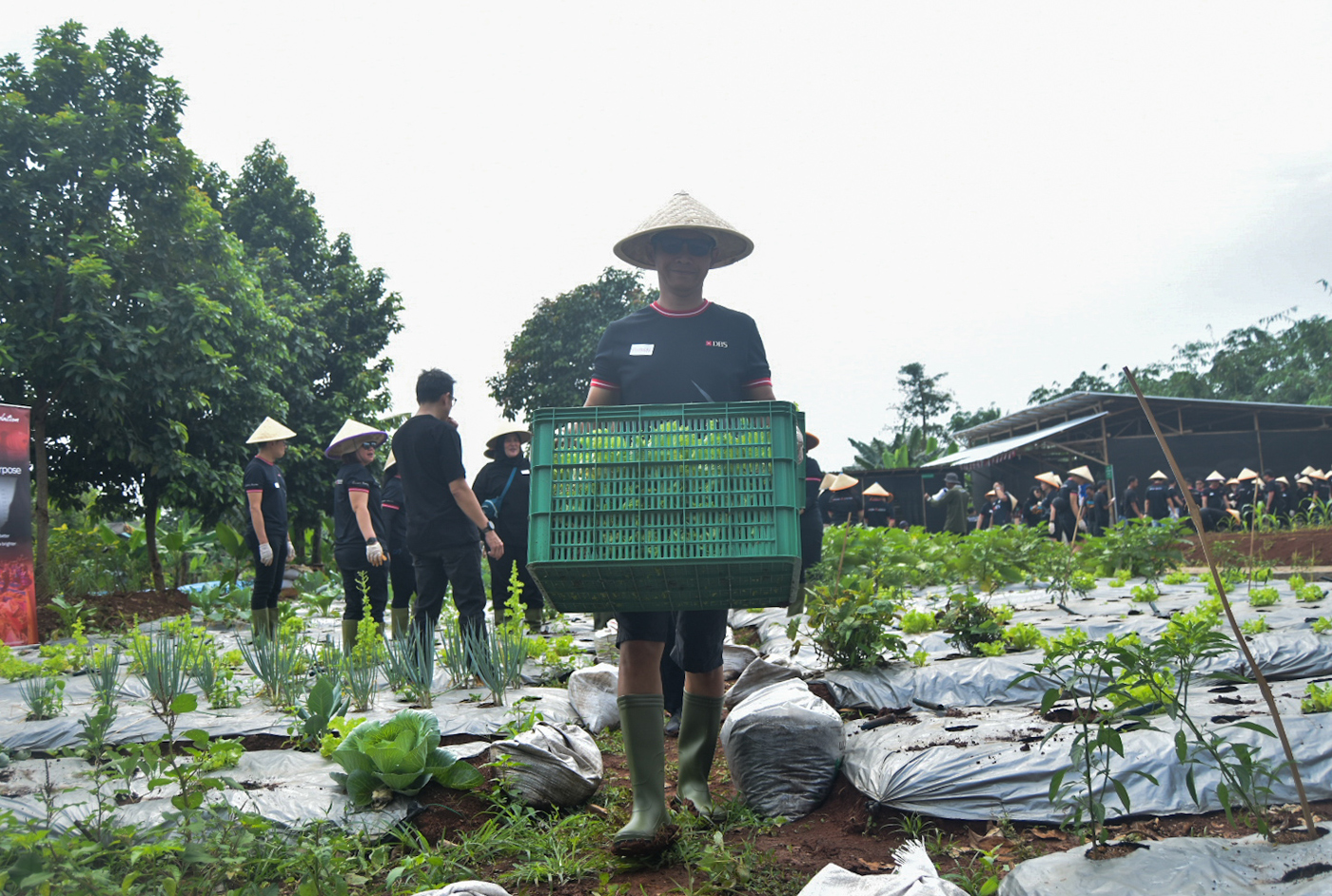Kegiatan bercocok tanam di ladang. (Dery Ridwansah/ JawaPos.com)
