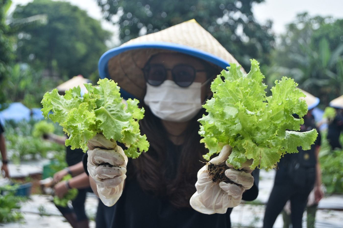 Kegiatan bercocok tanam di ladang. (Dery Ridwansah/ JawaPos.com)