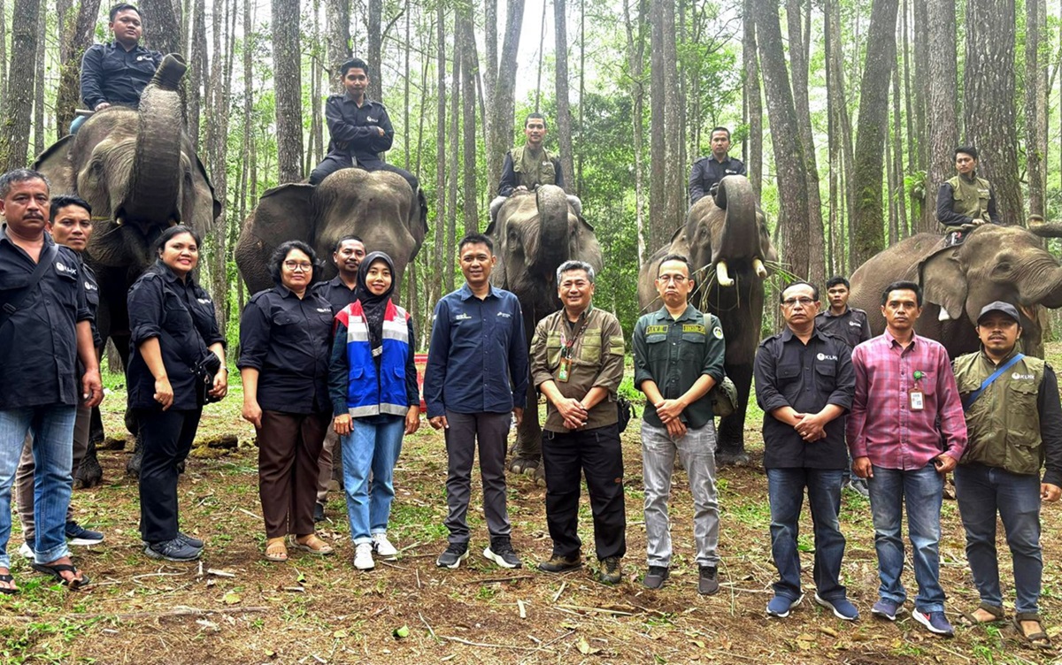 Pertamina Patra Niaga melalui Fuel Terminal Pematang Siantar mendukung pelestarian fauna satwa langka Gajah Sumatera, dalam rangka Hari Gajah Sedunia 2025. (dok. PPN) - Image