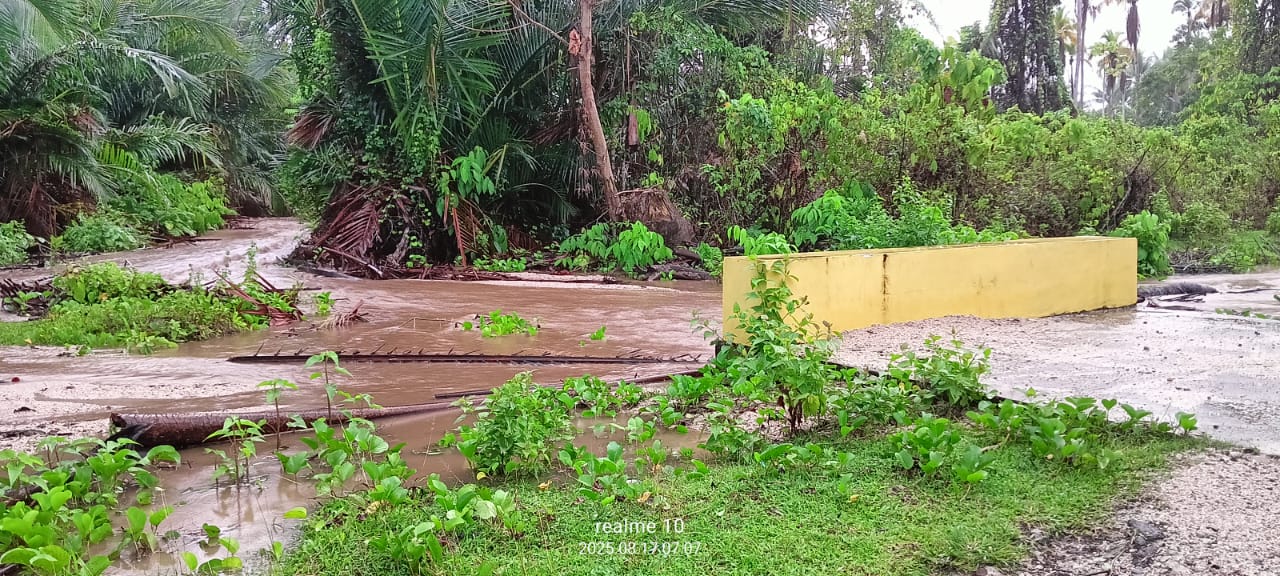 Banjir melanda Kabupaten Kepulauan Sula, Provinsi Maluku Utara, setelah hujan deras disertai angin kencang pada Sabtu (16/8). (BPBD Kab. Kepulauan Sula) - Image