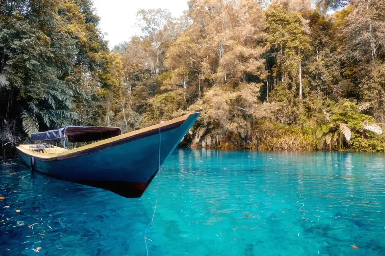 Danau Labuan Cermin, Kalimantan Timur (Dok. Pemerintah Provinsi kalimantan Timur) - Image