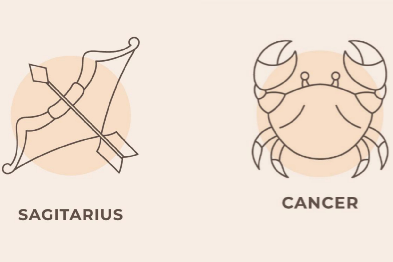 Ramalan, zodiak Sagitarius dan Cancer dari karir, asmara dan finansial Senin 1 September 2025./Freepik. - Image