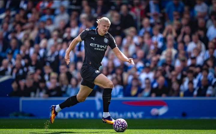 Erling Haaland (Instagram @erling) - Image